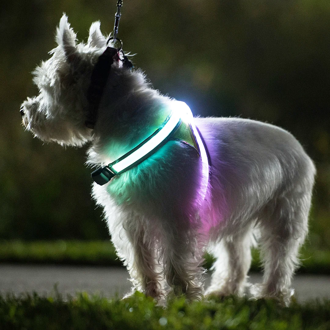 Productafbeelding 12