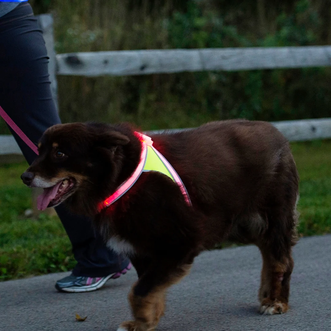 Productafbeelding 15